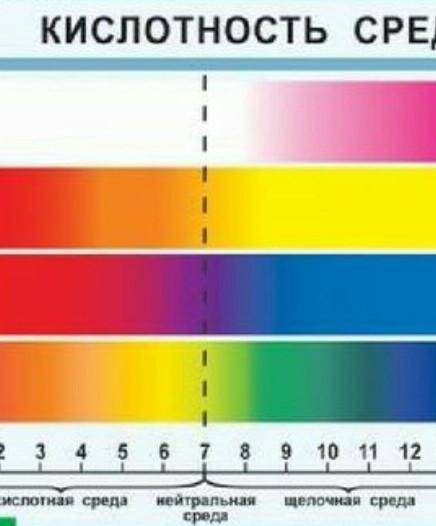 С таблицы «Кислотность среды», проанализируйте данные рисунка и сделайте вывод какую среду имеют зна