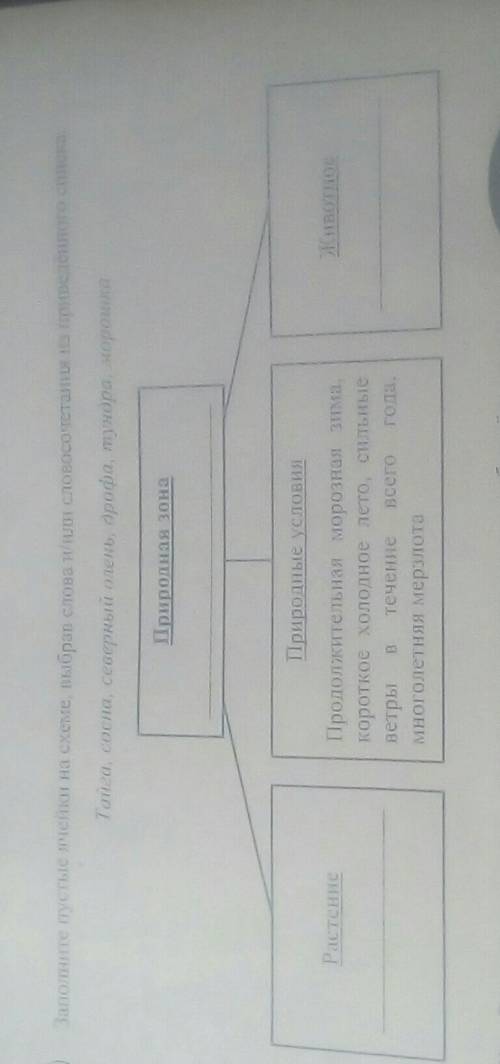 Заполните пустые ячейки на схеме, выбрав слова и/или словосочетания из приведенного списка Тайга, со