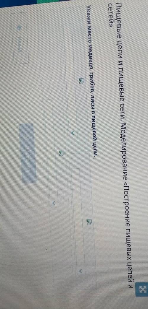 пищевая цепь пищевые сети моделирование пособие сейчас видео скажи место медведя грибов в лесу и пищ