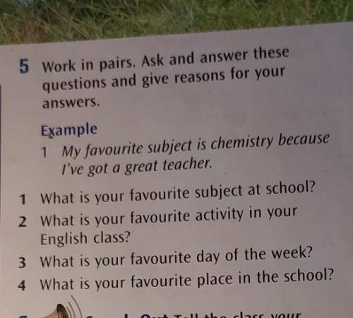 5 Work in pairs. Ask and answer these questions and give reasons for youranswers.Example1 My favouri