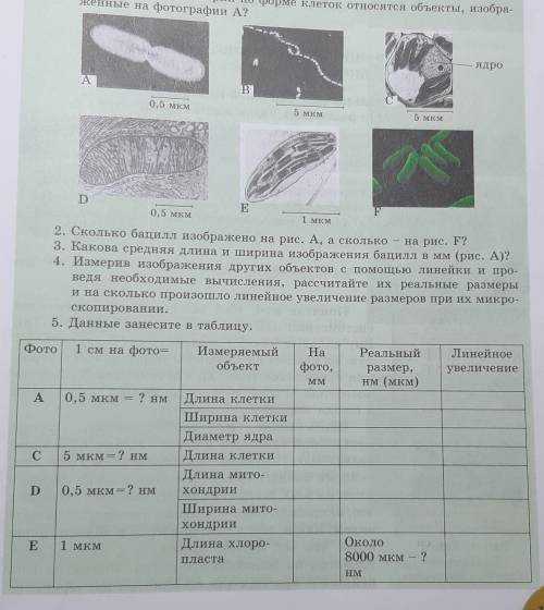 сделать 5. данные занесите в таблицу​