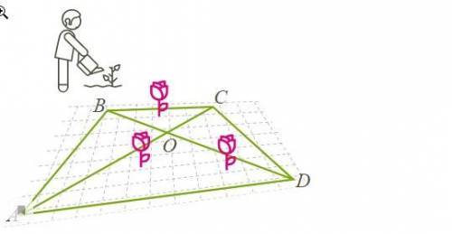 В парке при музее решили разбить клумбу в форме четырёхугольника. Две стороны этой клумбы (AD и BC),