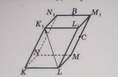 точки В и С середины ребер М1N1 и М1М параллелепипеда КLMNK1L1M1N1 укажите вектор противоположно нап