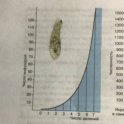По принципу построения графика на рисунке 3 начертите кривые для видов с разной скоростью размножени