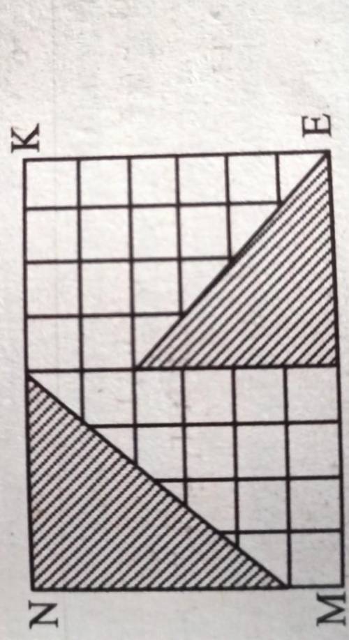3. Прямоугольник MNKE со сторонами 6 см и 8 см разделен на равные квадраты.Найдите сумму площадейзаш