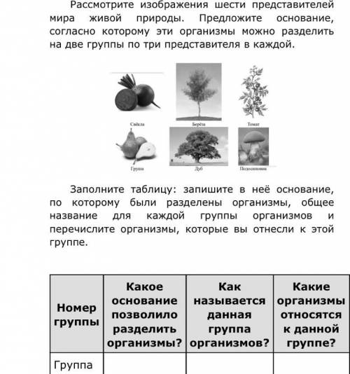 решить это задание. если можно, с объяснением