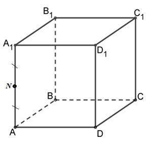 Задан куб ABCDA1B1C1D1 , точка N - середина AA1 . Точку N отобразили симметрично прямой B1D и получи