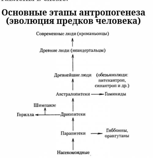 Выпишите основные этапы эволюции человека и отметьте как называли людей, проживающих на данном этапе