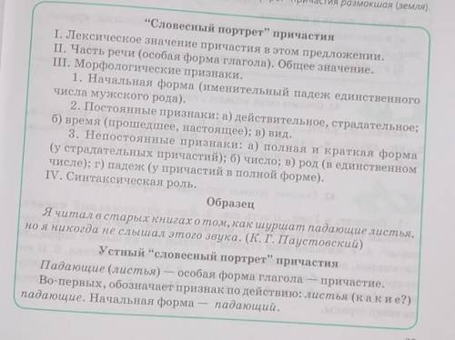 Совместный портрет причастие Разумовская Земля ​