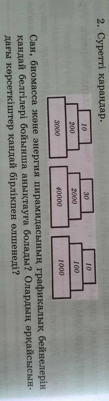 2- тапсырма Сан, биомасса және энергия пирамидасының графикалық бейнелерін қандай белгілер бойынша а