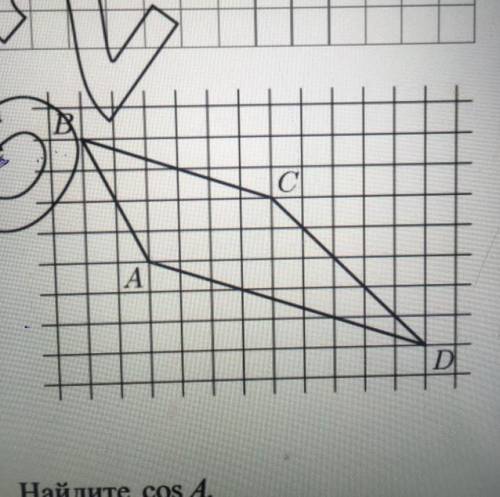 На клетчатой бумаге с размером клетки 1 на 1 изображена трапеция АВСD.Во ск раз основание АD больше