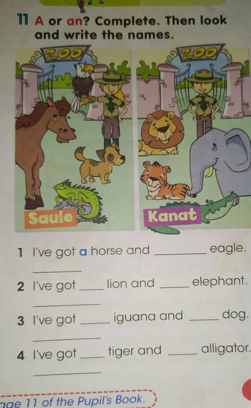 11 A or an? Complete. Then look and write the names.ZOOZOCCooSauleKanat1 I've got a horse andeagle.2