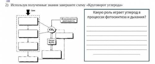 Используя полученные знания завершите схему «Круговорот углерода»