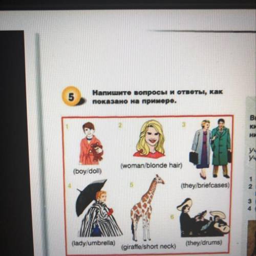 5 Напишите вопросы и ответы, как показано на примеро. (woman/blonde hair) (boy/doll) ( (they/briefca