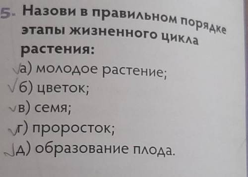 Назови правильном порядке этапы жизненного цикла растения​