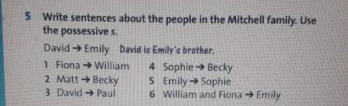5 Write sentences about the people in the Mitchell family. Use the possessive s.David → Emily David