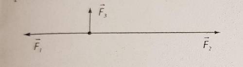 На тело действует три силы.F1=12N, F2=24N, F3=5N. Конструируй общую силу вектора F=F1+F2+F3. Вычисли