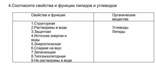 4.Соотнесите свойства и функции липидов и углеводов Свойства и функции Органические вещества1.Структ