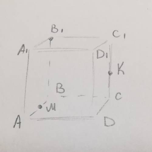 Постройте сечение куба ABCDA1B1C1D1 плоскостью, проходящей через вершину B1 и точки M и K, принадлеж