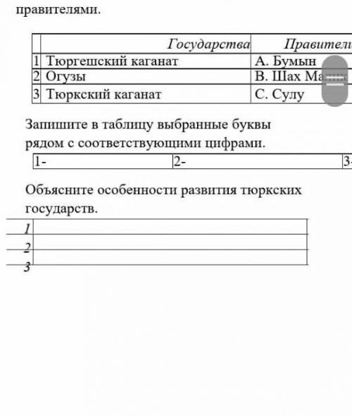 п обьясните особенности развития тюркскиз государств​