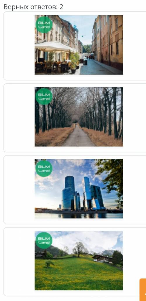 Выбери фотографии, на которых линия горизонта находится посередине. Верных ответов: 2 ​
