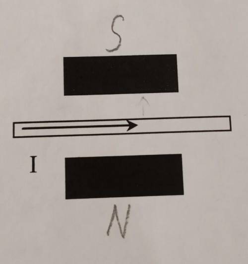 1. Провідник зі струмом поміщений між полюсами постійного магніту, як показано на рисунку.а) Магнітн