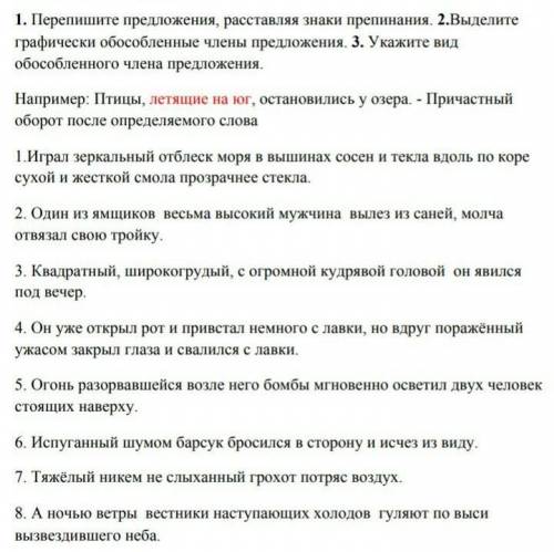 Русский язык 8 класс, ​