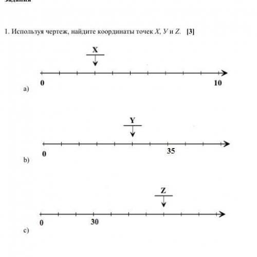 1. используя чертеж найдите координаты точек X, Y и Z