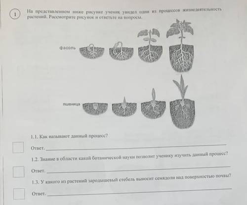 Кокой ответ 1.1, 1.2,1.3​