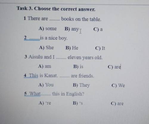 Task 3. Choose the correct answer. 1 There arebooks on the table.NEA) someC) аB) any1is a nice boy.E