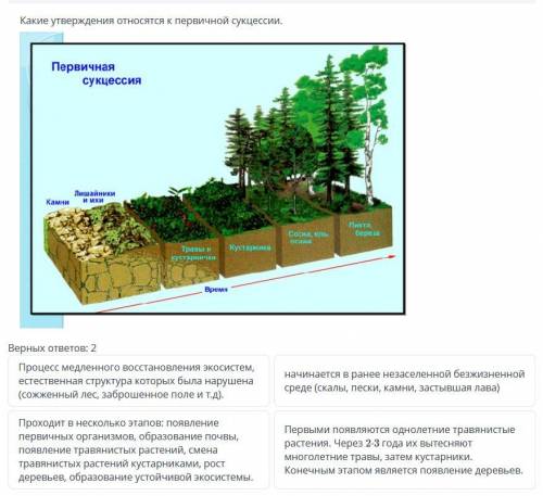 Какие утверждения относятся к первичной сукцессии верных ответов 2
