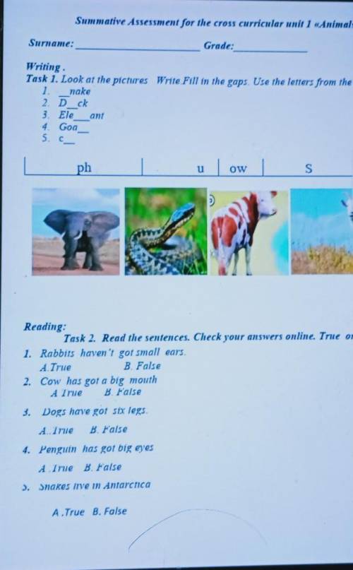Reading: Task 2. Read the sentences. Check your answers online. True or1. Rabbits haven't got small