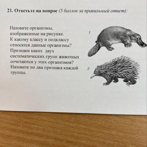 21. ответьте на вопрос ( за правильный ответ): 1 Назовите организмы, изображенные на рисунке. К како