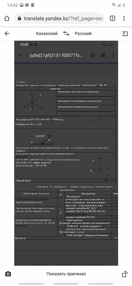 бжб 7 класс буква Z это угл