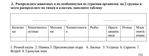 распределите животных по особенностям их строения организма на две группы и затем распределите по ти