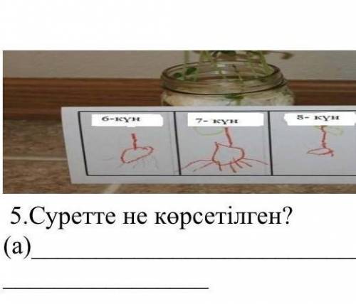 5.Суретте не көрсетілген?​