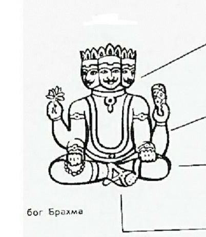 Согласно легенде индийские касты произошли от различных частей тело бога Брахмы. используя рисунок н