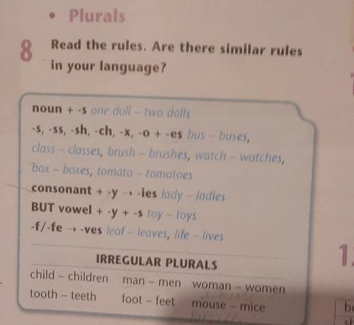 Read the rules. Are there similar rules 8in your language?noun + -s one doll - two dolls-5, -SS, -sh