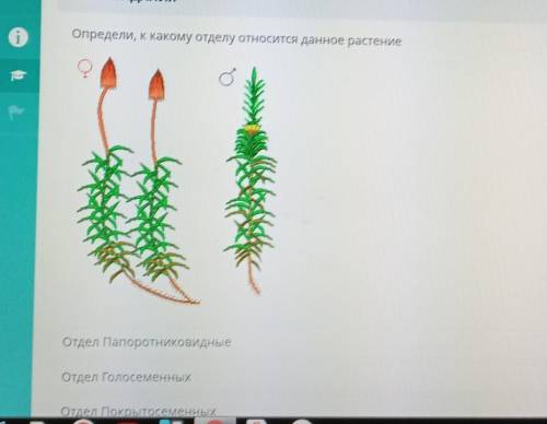 К какому отделу относится Покрытосеменных,Мохообразные-, Голосеменных, Папоротник-???​