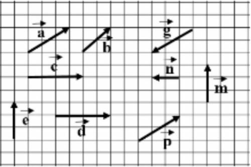 Используя рисунок, приведи по два примера: равных векторов коллинеарных векторов перпендикулярных ве