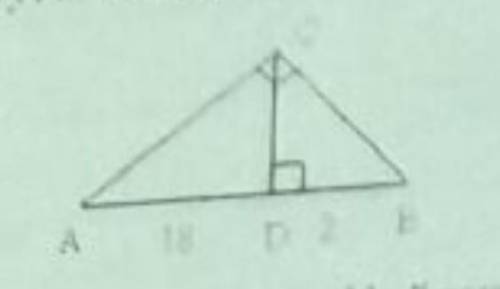 определите высоту CD прямоугольного треугольника АВС ​