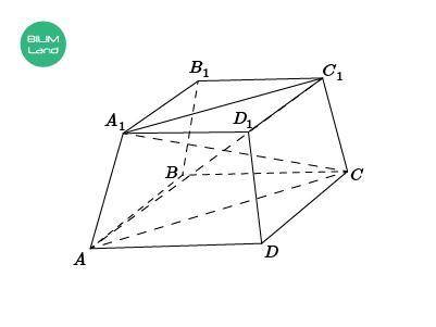В правильной четырехугольной усеченной пирамиде диагонали AC1 ⊥ A1C и равны 2 см. Найди высоту пирам