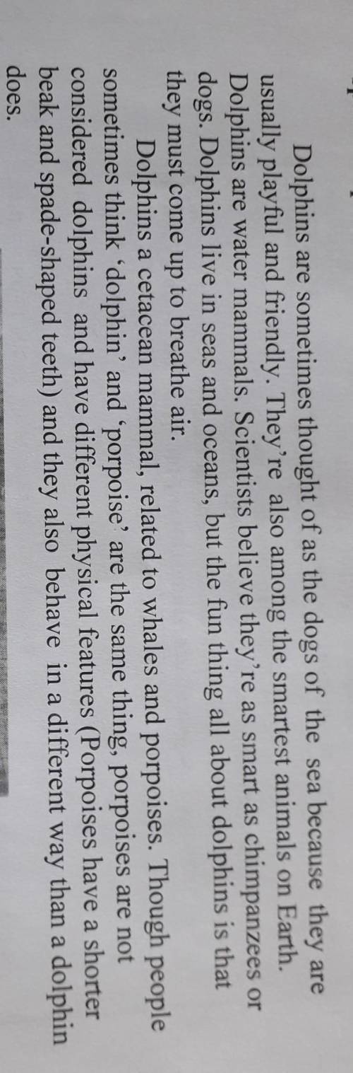 1.Thanks to dolphins' playfulness and friendliness they are sometimes thought of the dogs of the sea