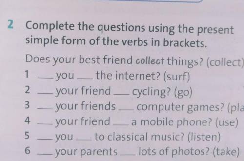 Complete the questions using the present simple form of the verbs in brackets. Does your best friend