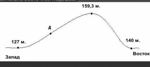 Определите абсолютную высоту холма​
