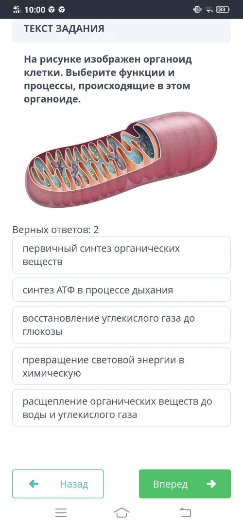 Ребят сор только правильно