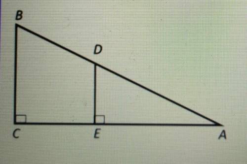 На рисунке углы C и E равны 90°Найти AD если известно что AE=11,EC=2,DB=4​