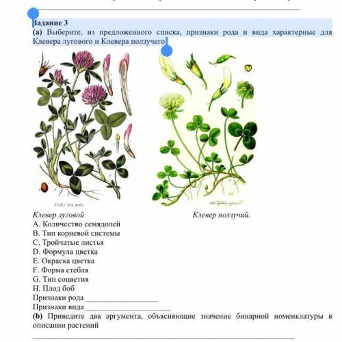 Задание 3 (a) Выберите, из предложенного списка, признаки рода и вида характерные для Клевера лугово