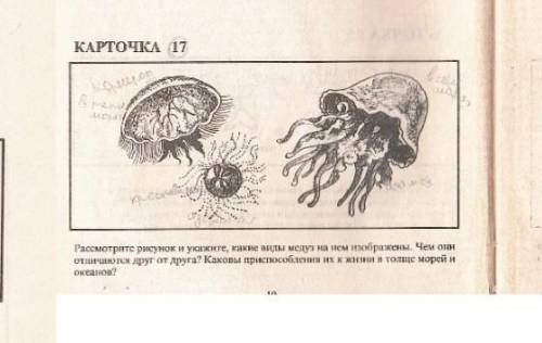 Выполните задание по биологии 7 класс ​