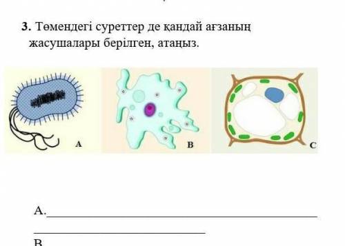 Жауабын айтындаршы білсендер ​